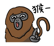 809511459