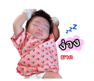 809523889