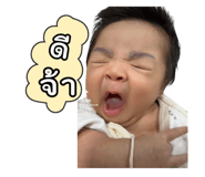809523894
