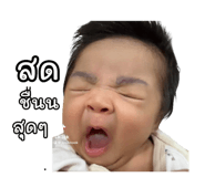 809523896