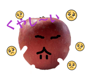 809527339