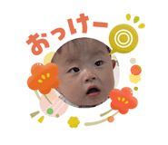 809529504