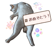 809539517