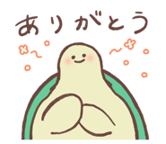 809542675