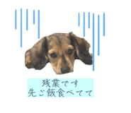 809544615