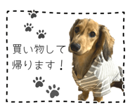 809544631