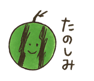 809546997