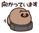 809550926