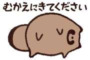809550933
