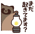 809550937