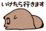 809550944
