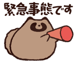 809550946