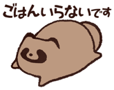 809550953
