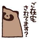 809550954