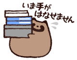 809550959