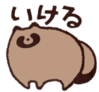 809550969