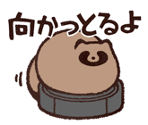 809550974