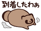 809550977
