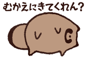 809550981