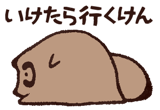 809550992