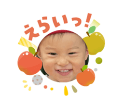 809564075