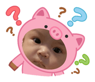809566961