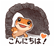 809572241