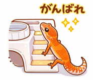 809572245