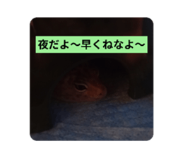 809577480