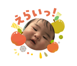 809577604