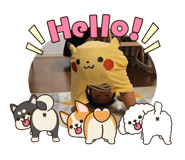 809577814