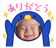 809593641