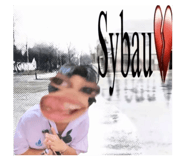 809595487