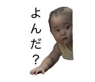 809595933