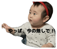 809595942
