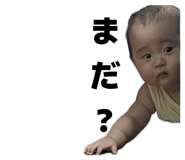 809595944
