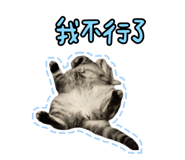 809597189