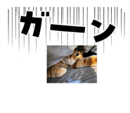 809599299
