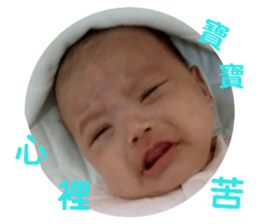 80967635