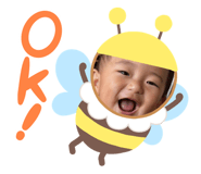 809679333