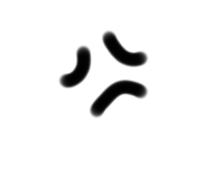 809691528