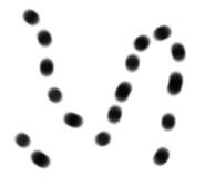 809691529