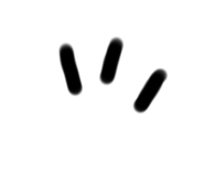 809691553