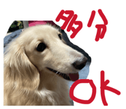 809701755