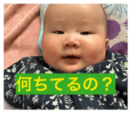 809709517