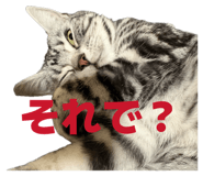 809711626