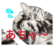 809711641