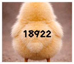 809713957