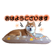 809718897