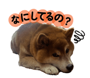 809718901